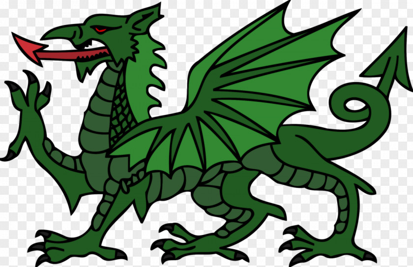 Dragon Cardiff City Stadium F.C. English Football League Liverpool Premier PNG