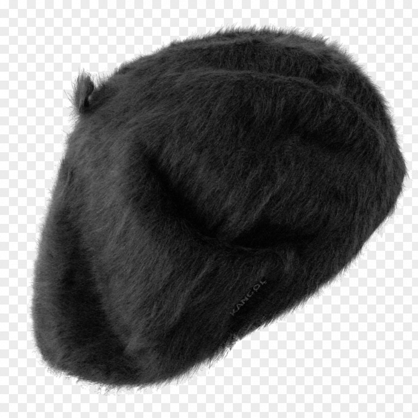 Hat Fur Clothing Kangol Headgear Beret PNG