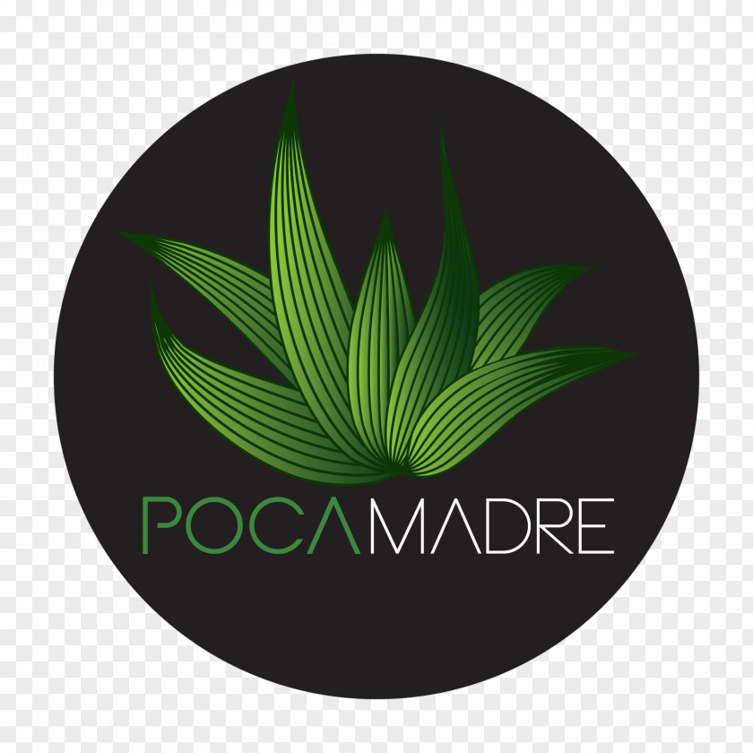 Leaf Green Logo Hemp PNG