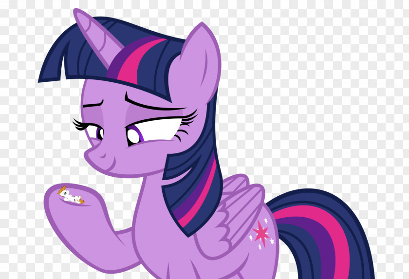 Twilight Beauty Sparkle Rarity Pony Rainbow Dash Pinkie Pie PNG