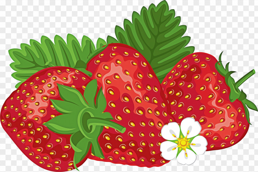 Anthurium Berry Strawberry Cartoon PNG
