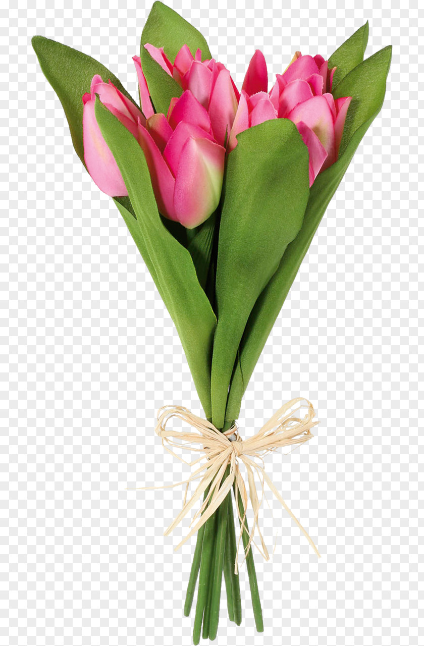 Bouquet Flower Green Tulip PNG