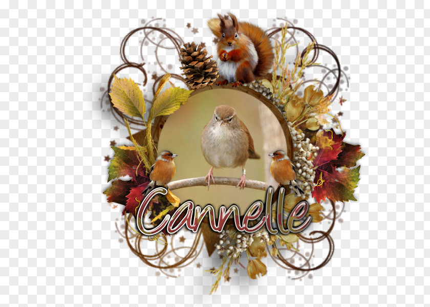 Christmas Ornament PNG