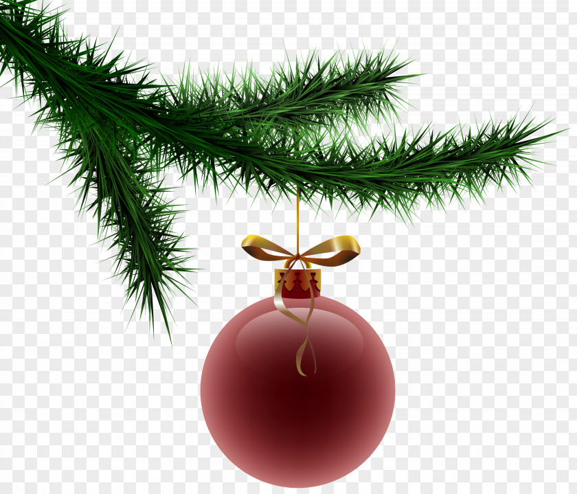 Christmas Pine Branch With Ornament Clipart Image Tree Clip Art PNG