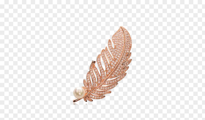 Golden Feather Brooch Download PNG