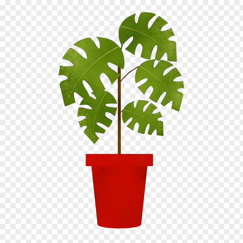 Palm Tree Monstera Deliciosa Background PNG