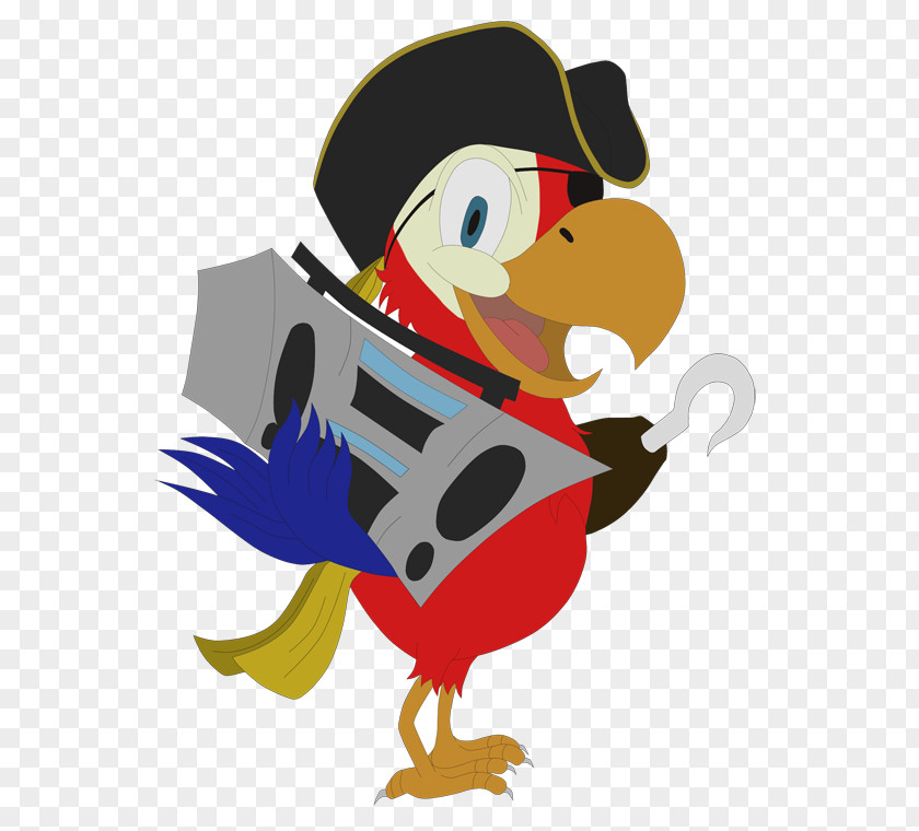 Pirate Parrot Water Bird Chicken Vertebrate Goose PNG