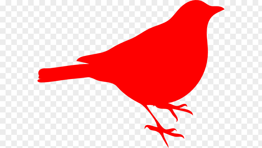 Robin Cliparts Bird Northern Cardinal Clip Art PNG