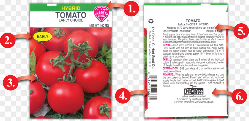 Tomato The Chas. C. Hart Seed Co. Food Charles Company PNG