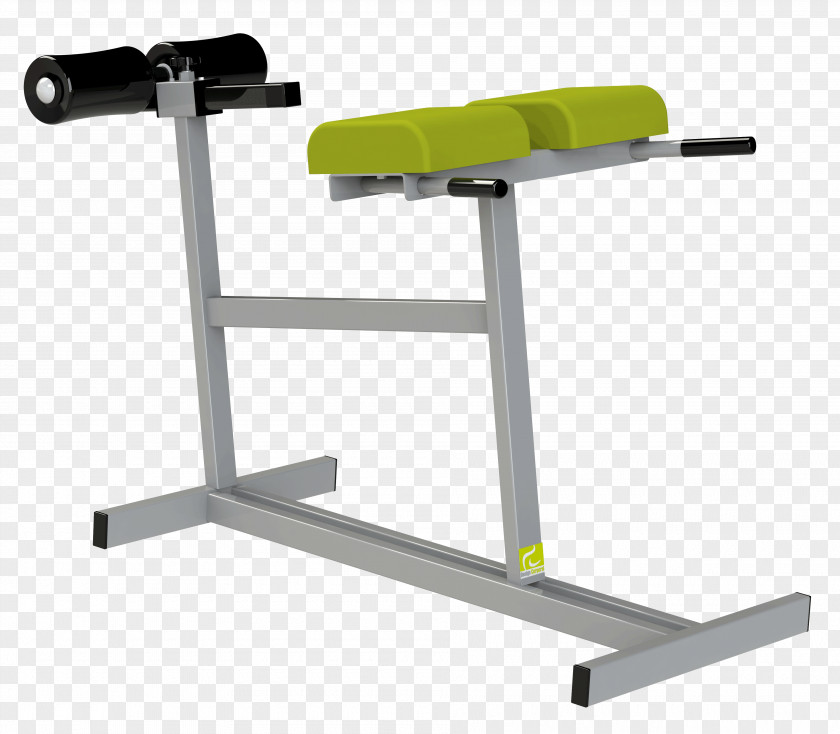 Weight Training Sport Physical Fitness Machine Lumbar Vertebrae PNG