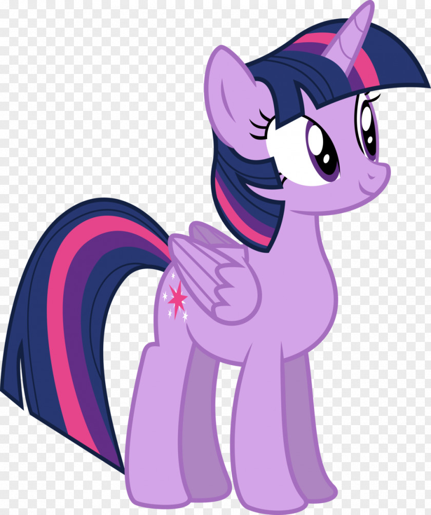 Wings Mlp Twilight Sparkle Princess Celestia Them's Fightin' Herds Applejack Pony PNG