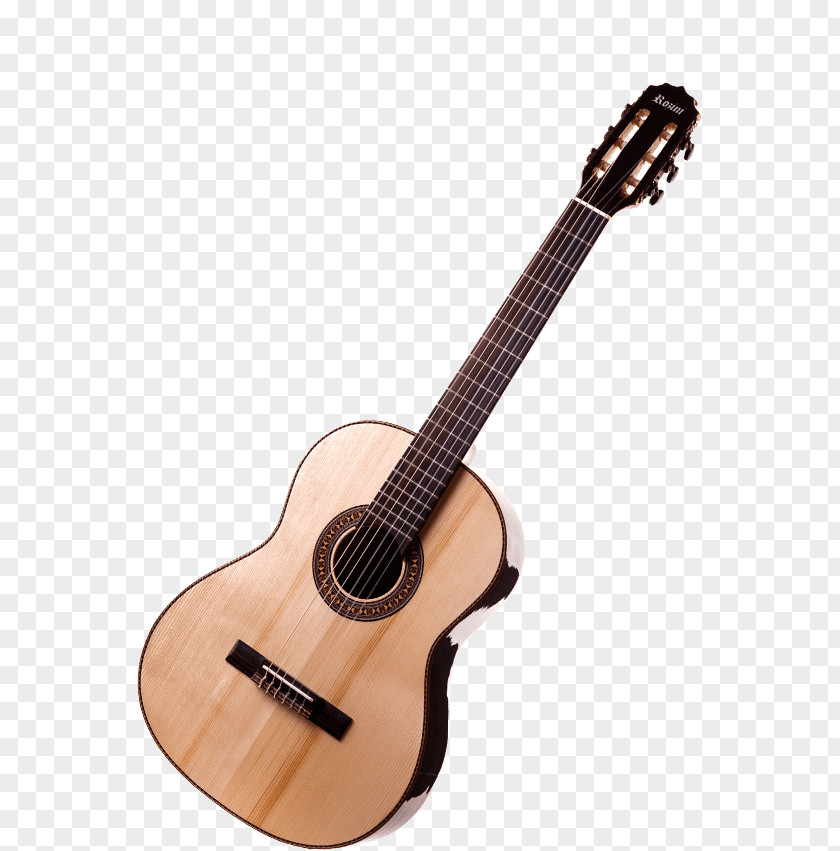 Acoustic Guitar Bass Acoustic-electric Tiple PNG