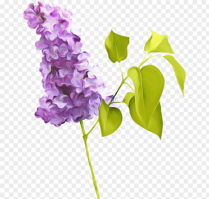 Artificial Flower PNG