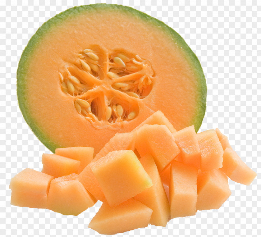 Avocado Vector Cantaloupe Honeydew Melon Clip Art PNG