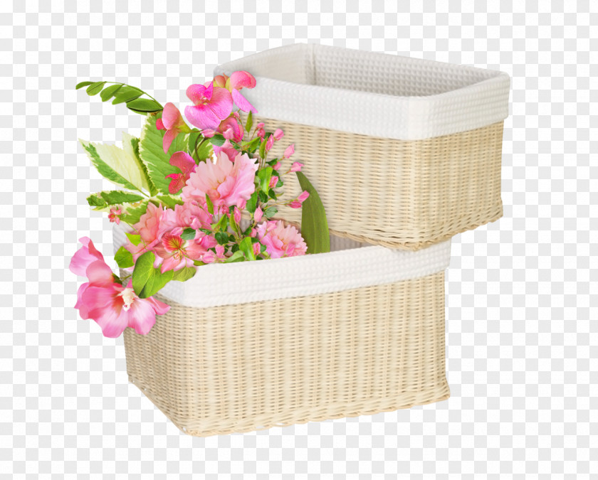 Basket Organic Clip Art Image PNG
