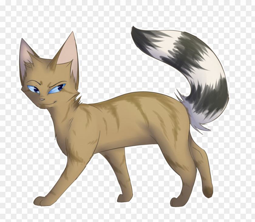 Cat Whiskers Domestic Short-haired Red Fox Fauna PNG