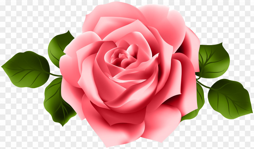 Red Rose Transparent Clip Art PNG