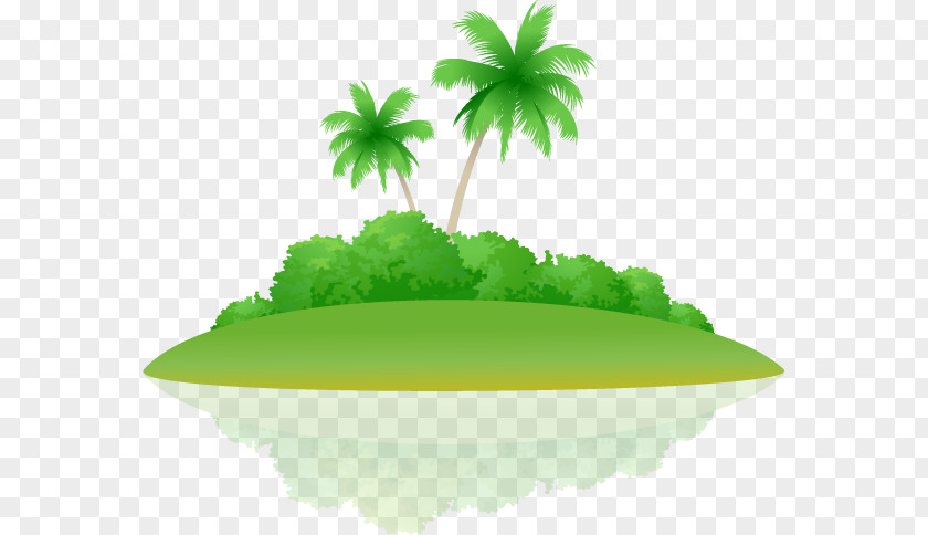 Vector Green Sea Coconut Tree Euclidean Arecaceae Icon PNG