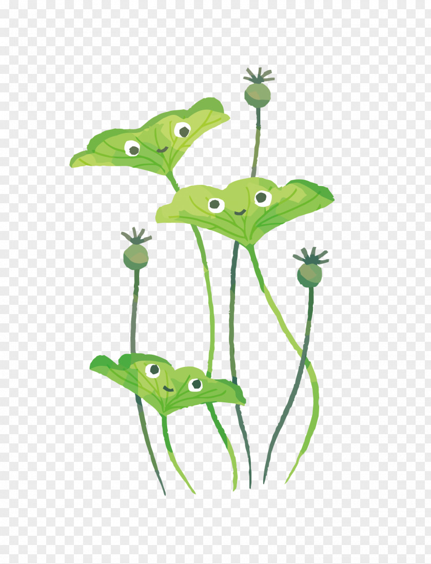 Vector Happy Lotus Leaf Illustrator Illustration PNG