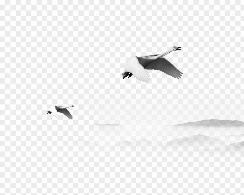 Crane And Mountains Black White Ink Decorative Freshwater Bird Beak Pattern PNG