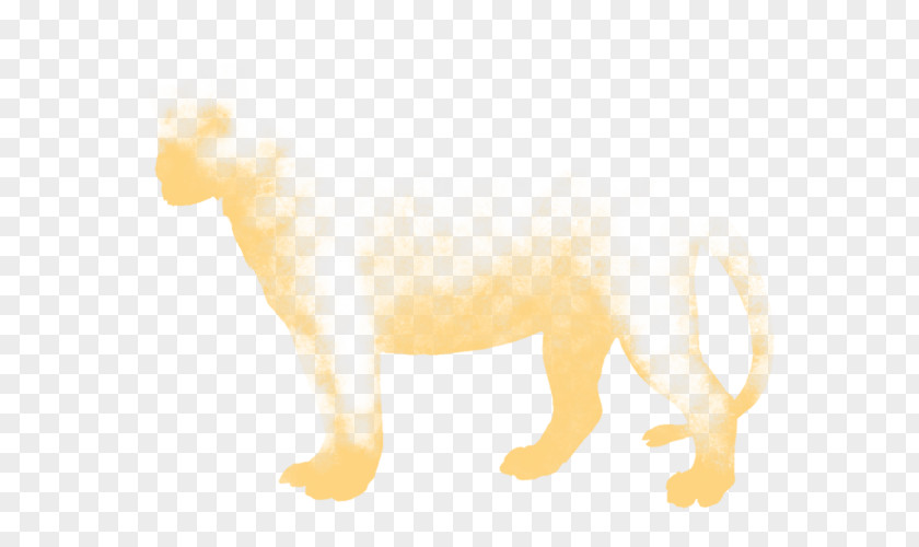 Dog Cat Snout Desktop Wallpaper Yellow PNG