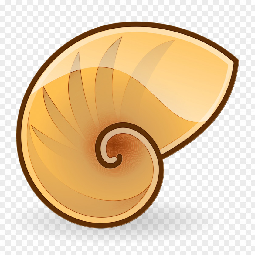 Nautiluses PNG