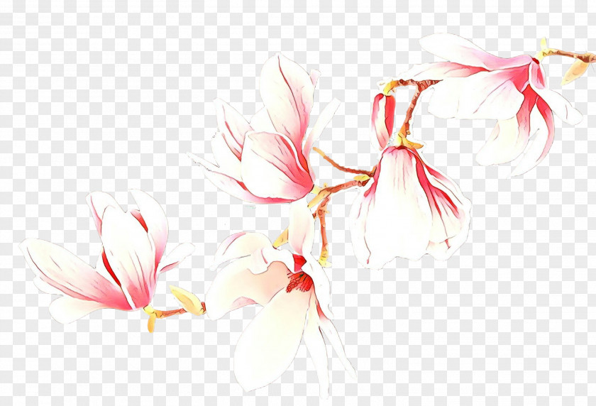 Pedicel Flower Pink Plant PNG