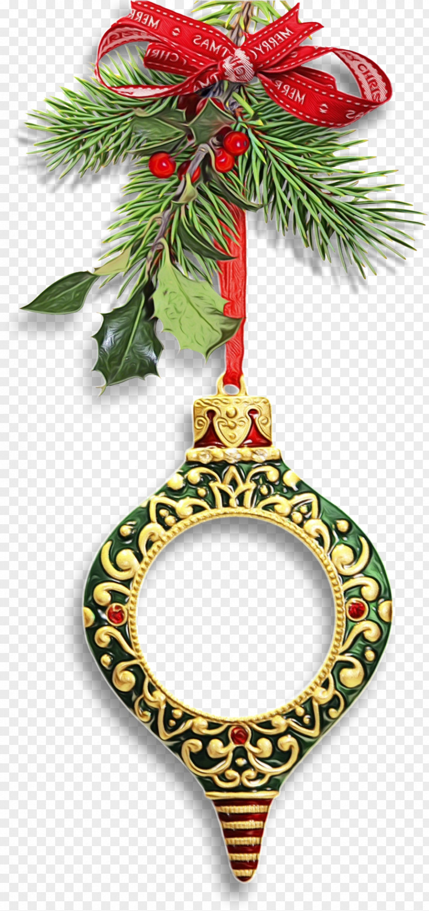 Pine Family Fir Christmas Ornament PNG