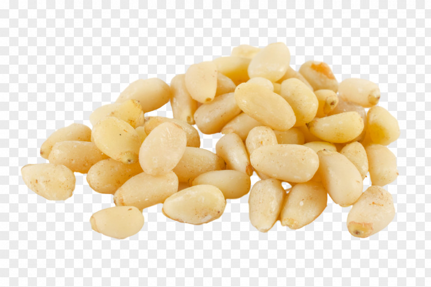 Pine Nuts Succade Macadamia Nut Cedar PNG