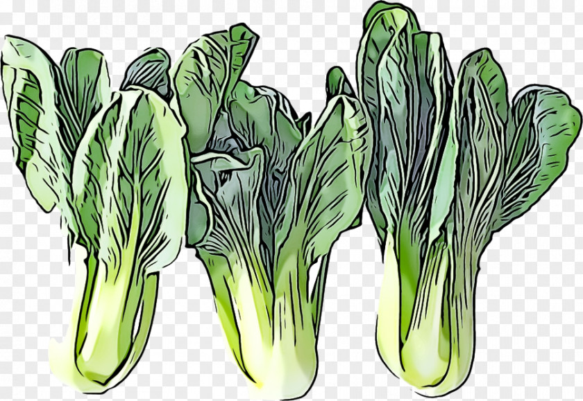 Vegetable Plant Leaf Flower Chinese Cabbage PNG