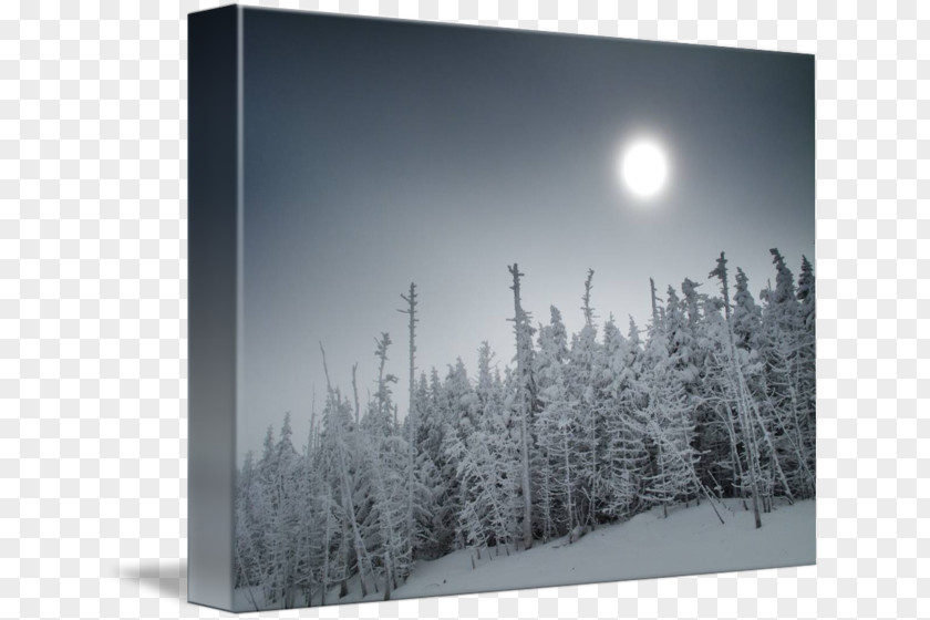 Winter Desktop Wallpaper Computer Sky Plc PNG