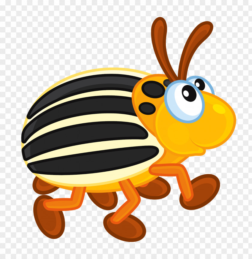Bee Clip Art Image Vector Graphics Drawing PNG