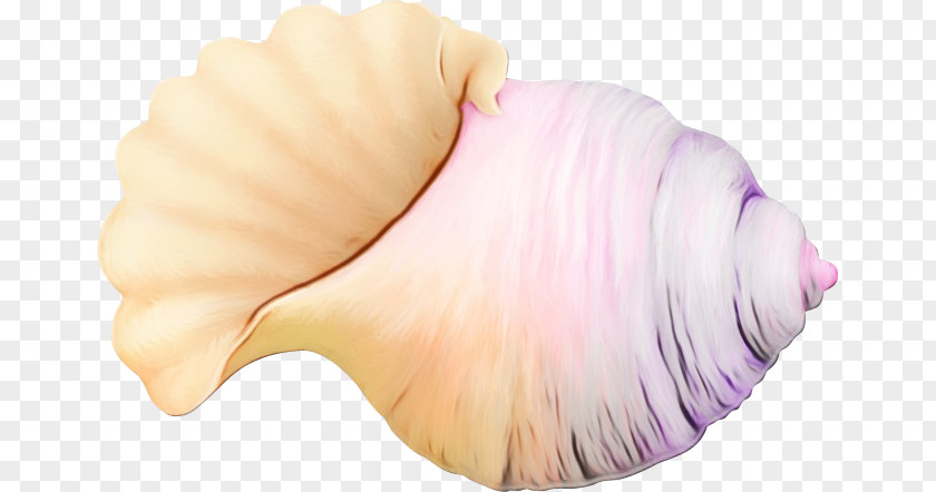 Conch Shankha Pink PNG