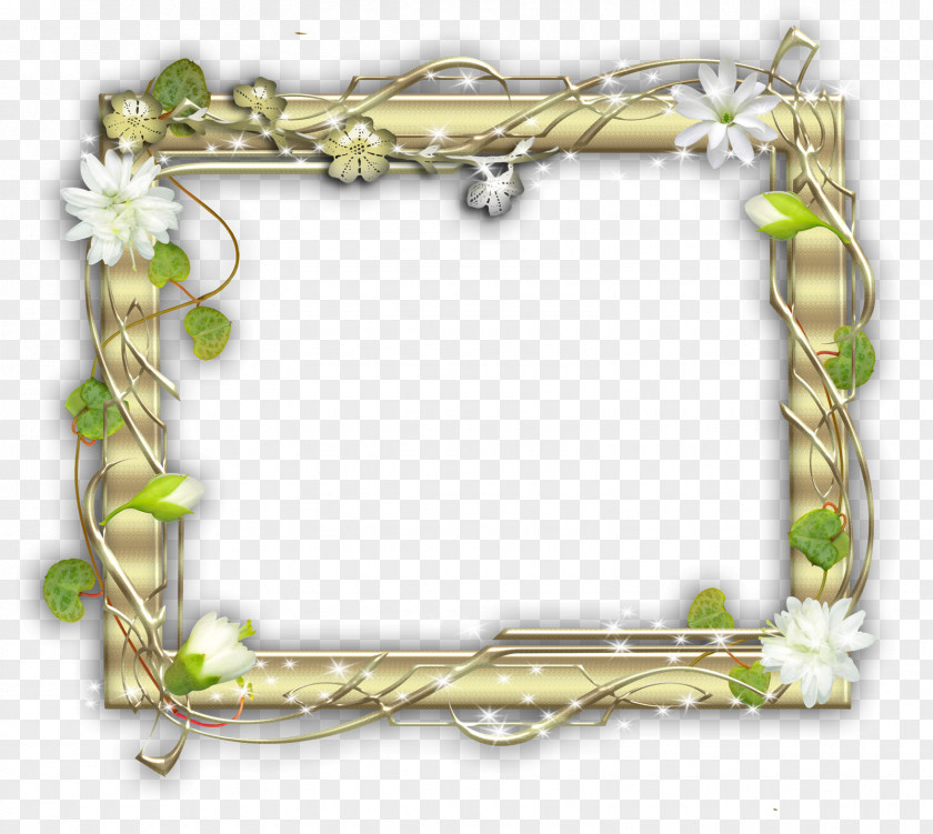 Marcos Picture Frames Photography Molding Light PNG