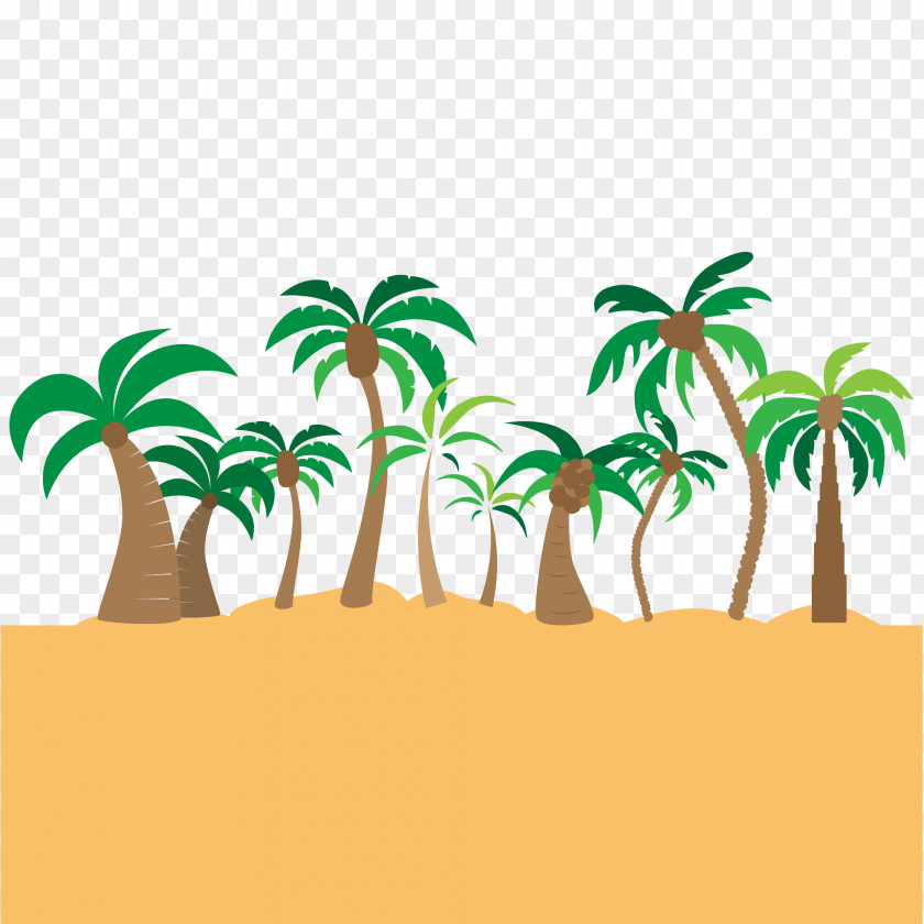 Beach Coconut Tree Illustration Arecaceae PNG