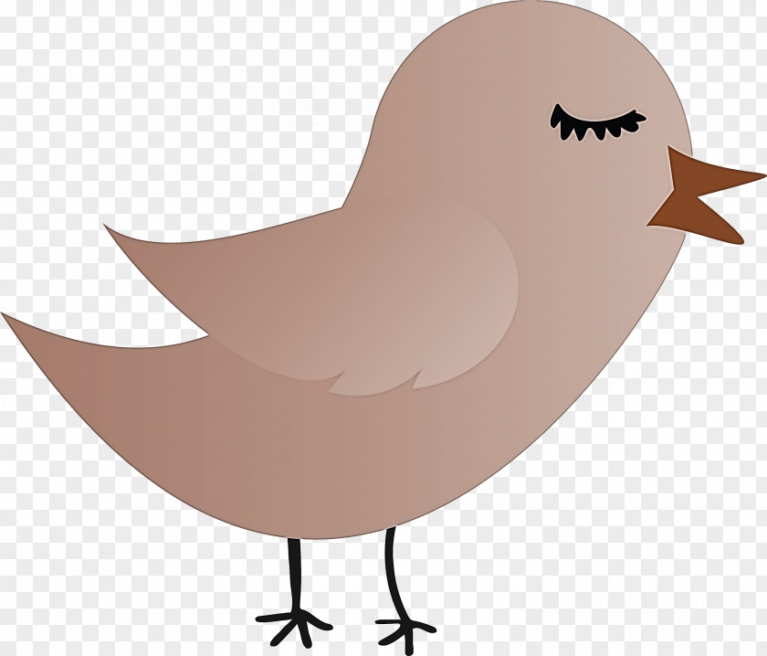 Bird Cartoon Beak Wing PNG