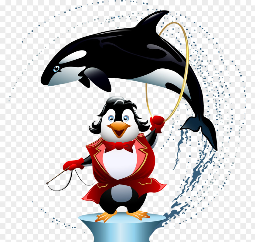 Dolphins And Penguins Albom Album Internet Clip Art PNG
