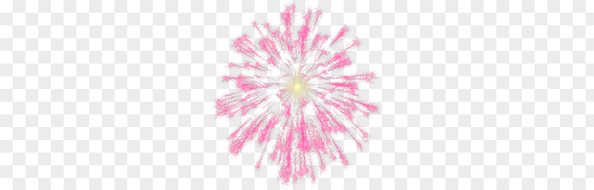 Fireworks PNG clipart PNG