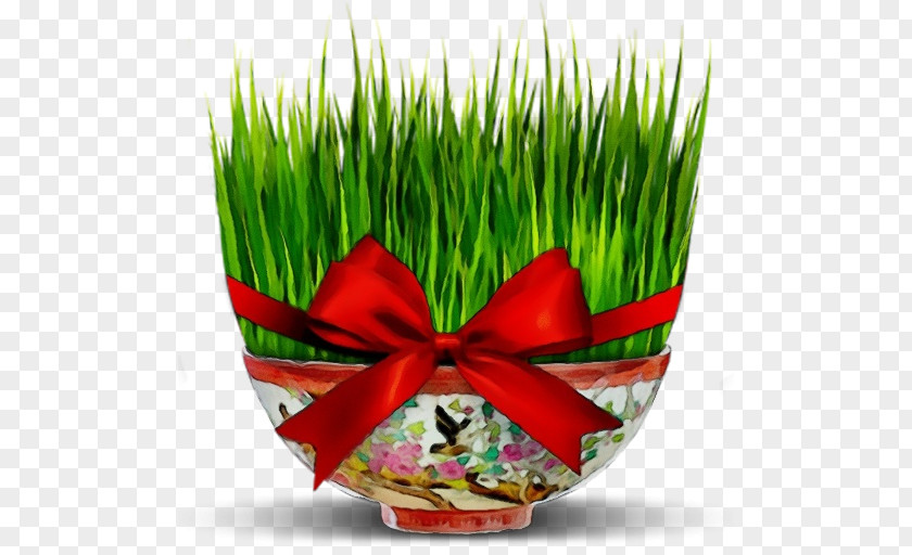 Grass Plant Family Flowerpot PNG