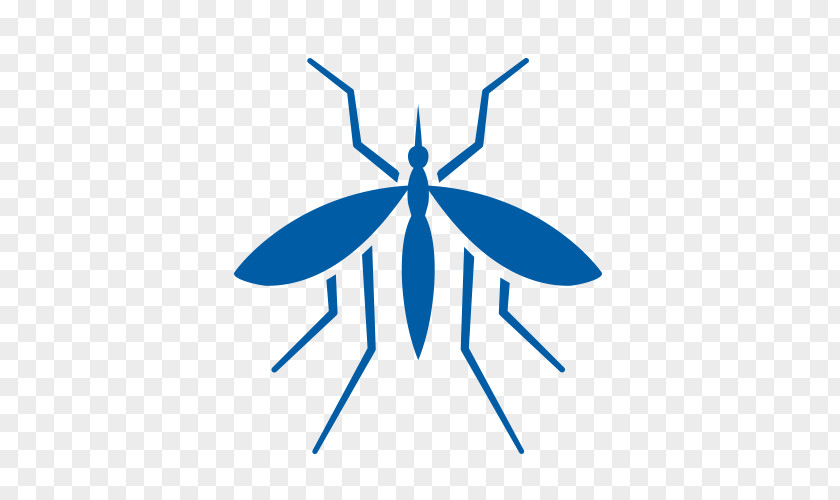 Mosquito Control Insect Pest PNG