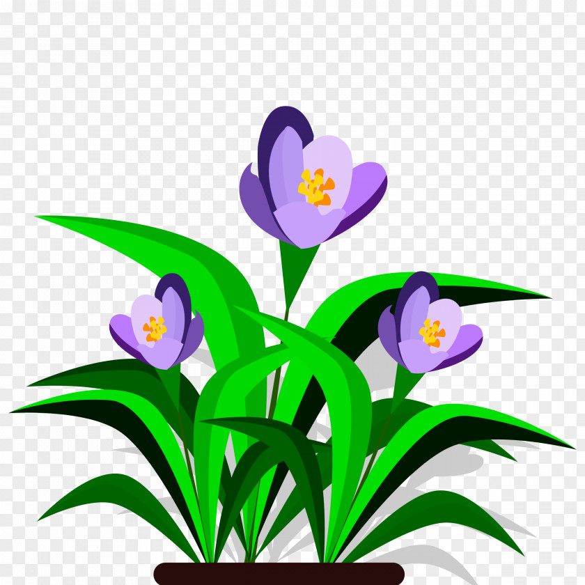 Plants Cut Flowers Petal Plant Stem Clip Art PNG