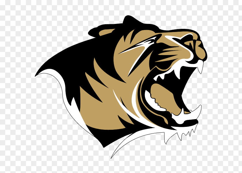 School Bentonville High Tiger National Secondary PNG