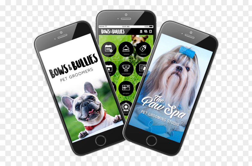 Smartphone French Bulldog Dog Grooming Pet PNG