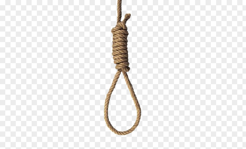 Snake Rope Suicide By Hanging Hangman PNG