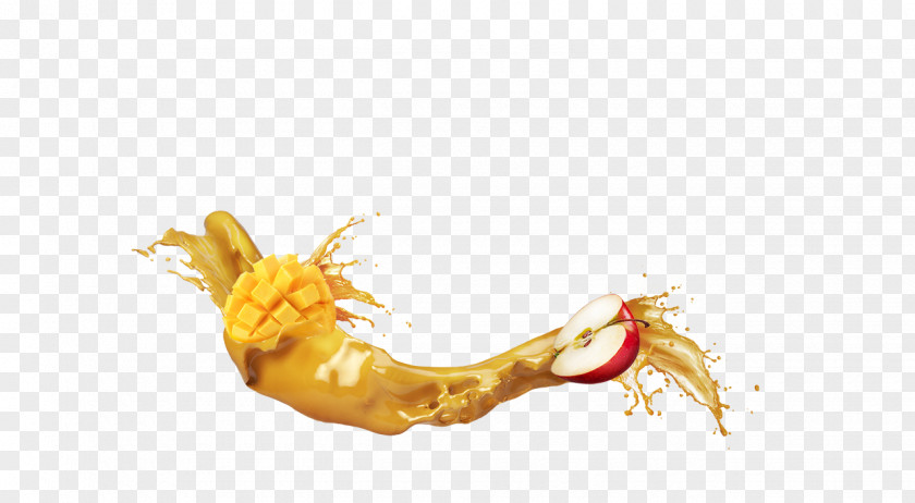 Apple Mango Organism PNG