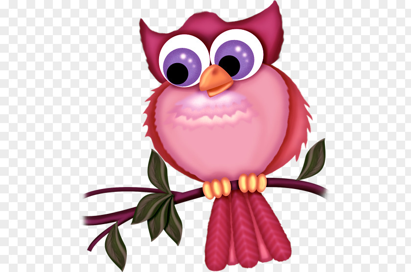 Cartoon Owl Bird Illustration PNG