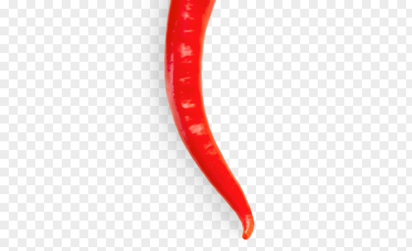 Chili Pepper Capsicum Annuum Var. Acuminatum Peperoncino Malagueta PNG