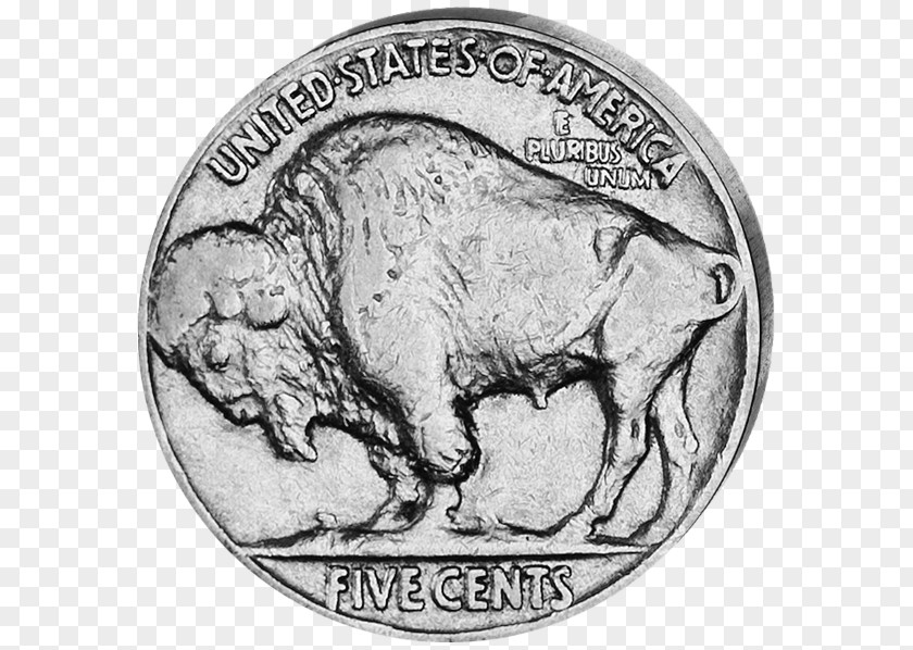 Coin Cattle Fauna Mammal PNG