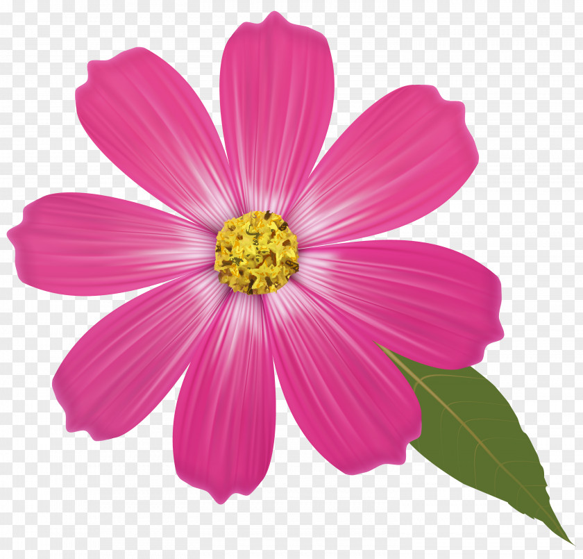 Flowers Pink Clip Art PNG