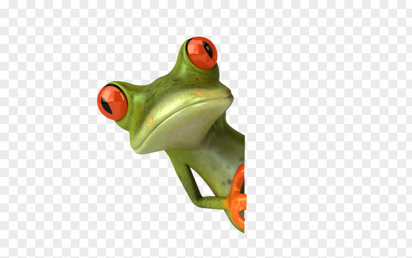 Frog True Amphibian Australian Green Tree PNG